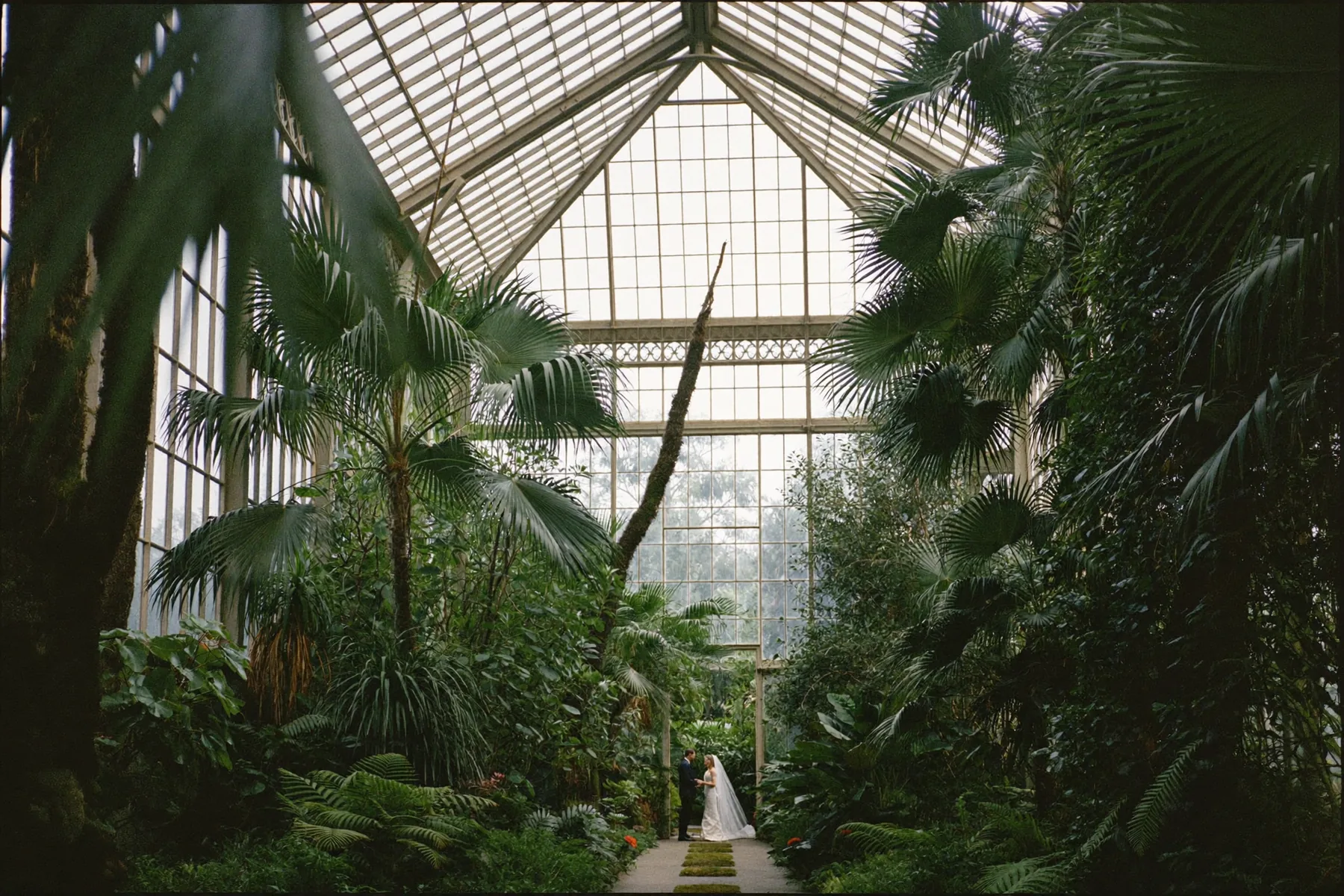 A Cleveland Botanical Garden Wedding
