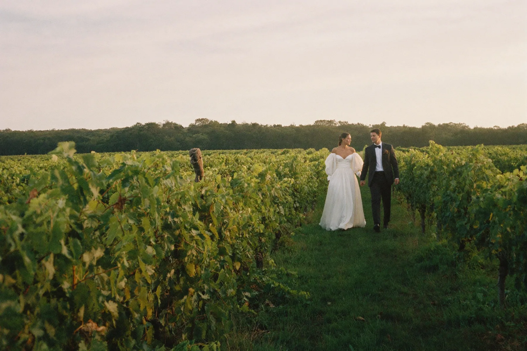 Gervasi Vineyard Wedding Photographer