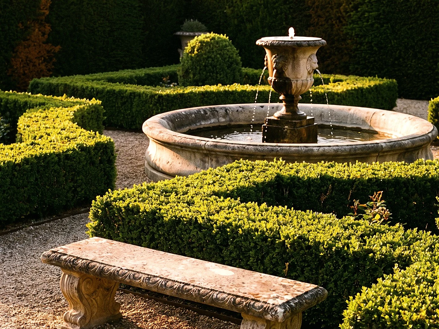 A formal garden fountain at golden hour, clipped hedges, stone bench, no people.